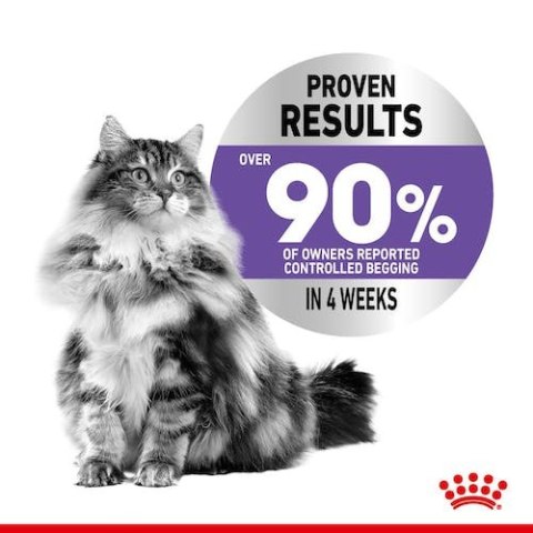 Royal Canin Appetite Control Care karma mokra w galaretce dla kotów dorosłych, domagających się jedzenia saszetka 85g