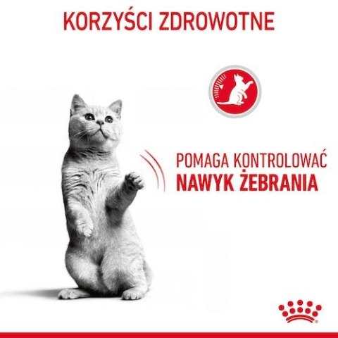 Royal Canin Appetite Control Care karma sucha dla kotów dorosłych, domagających się jedzenia 3,5kg