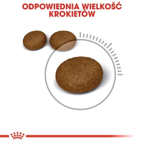 Royal Canin Hair&Skin Care karma sucha dla kotów dorosłych, lśniąca sierść i zdrowa skóra 2kg