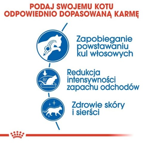 Royal Canin Indoor Long Hair karma sucha dla kotów dorosłych, długowłose, przebywających wyłącznie w domu 10kg