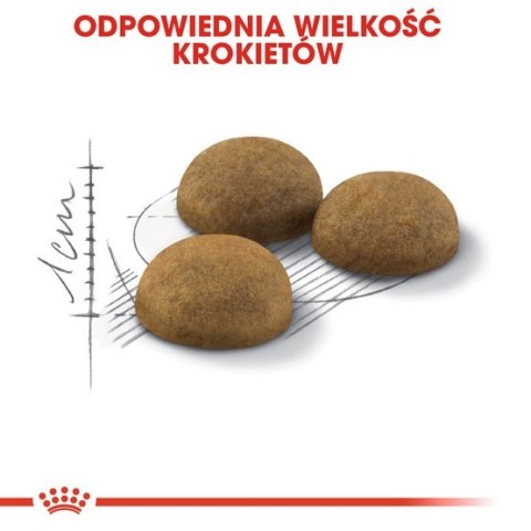 Royal Canin Indoor Long Hair karma sucha dla kotów dorosłych, długowłose, przebywających wyłącznie w domu 10kg