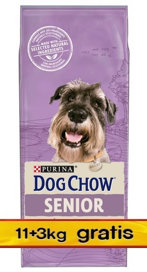 Purina Dog Chow Senior Jagnięcina 14kg (11+3kg gratis)