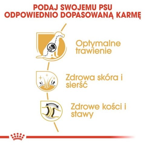 Royal Canin German Shepherd Adult karma sucha dla psów dorosłych rasy owczarek niemiecki 11kg