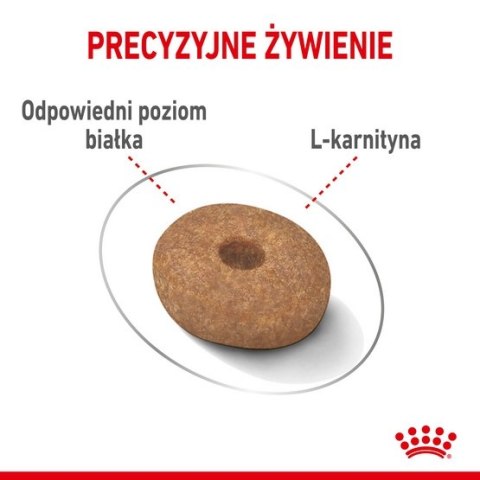 Royal Canin Mini Light Weight Care karma sucha dla psów dorosłych, ras małych z tendencją do nadwagi 3kg