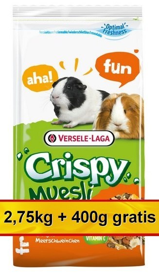 Versele-Laga Crispy Muesli Guinea Pig - pokarm dla świnki morskiej 3,15kg (2,75+0,4kg gratis)