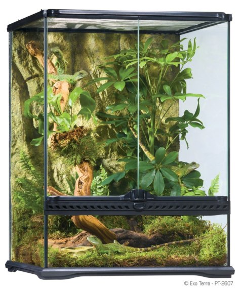 EXO TERRA terrarium szklane Small Tall (45x45x60cm)