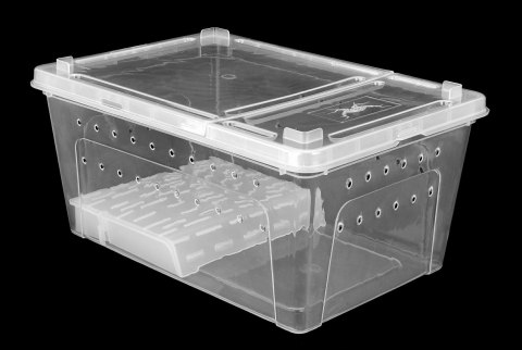 Pojemnik hodowlany BREEDING BOX