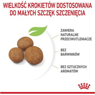 Royal Canin Maxi Puppy karma sucha dla szczeniąt, od 2 do 15 miesiąca życia, ras dużych 1kg