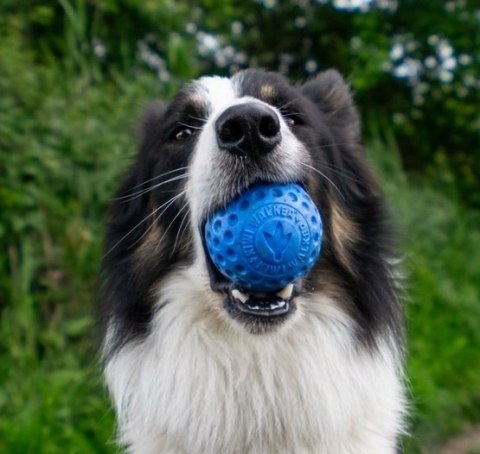 Kiwi Walker Let's Play Ball Maxi piłka pomarańczowa