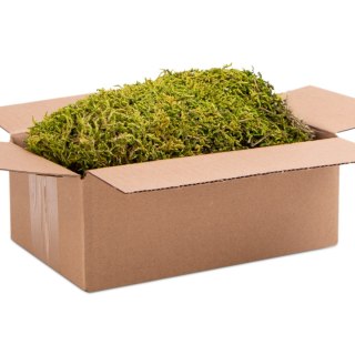 Terrario North King Moss Box 1.5l - mech tropikalny