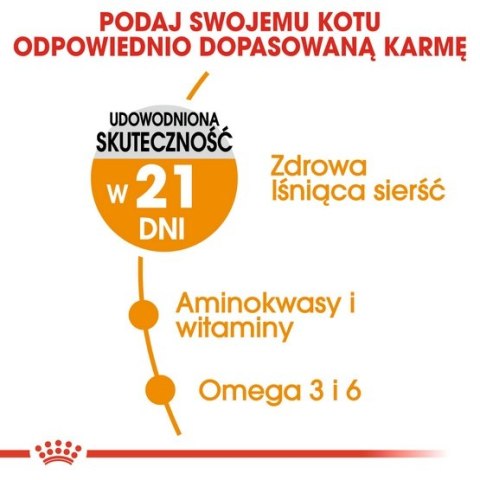 Royal Canin Hair&Skin Care karma sucha dla kotów dorosłych, lśniąca sierść i zdrowa skóra 4kg