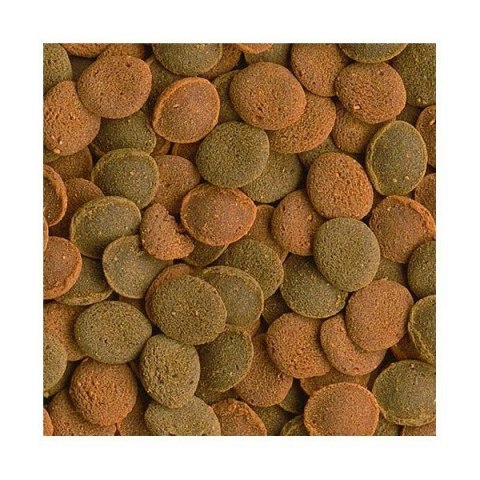 Tetra Wafer Mix 15g - pokarm dla ryb dennych