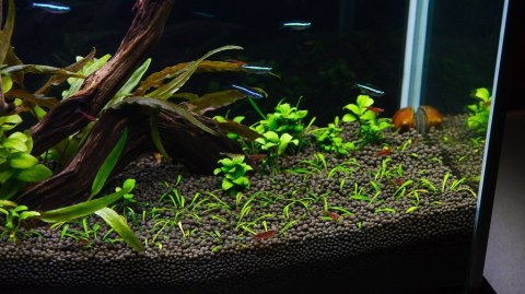 Aqua-art Aqua Substrate PRO 6 L - czarne podłoże