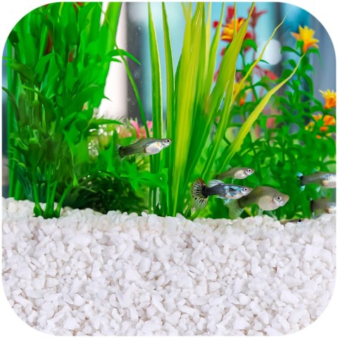 Eco Plant White River 1kg - żwirek biały naturalny 2-8mm