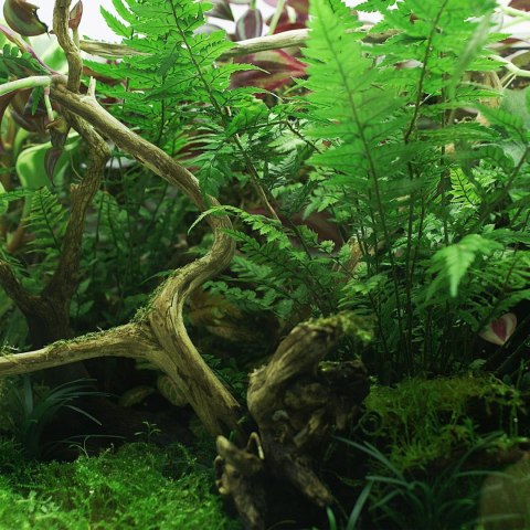 YOKUCHI HAISUI BASE 0,5L - podłoże drenażowe do terrarium