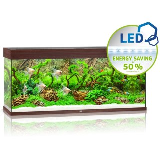 Juwel Rio 240 LED ciemne drewno - akwarium