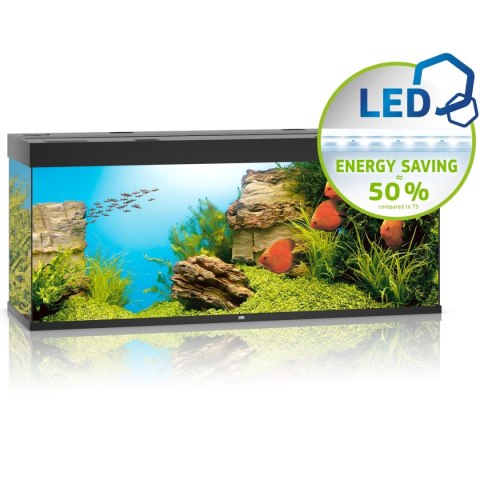 Juwel Rio 450 LED czarny - akwarium