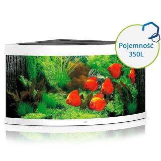 Juwel Trigon 350 LED biały - akwarium