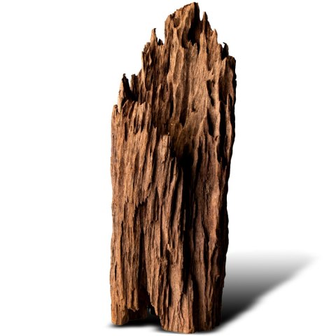 Philippines Classic Driftwood - drzewo mangrowca z wody L 30cm - 40cm