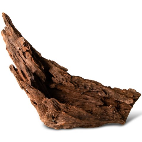 Philippines Classic Driftwood - drzewo mangrowca z wody L 30cm - 40cm