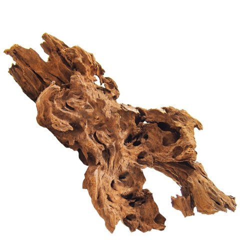 Philippines Classic Driftwood - drzewo mangrowca z wody L 30cm - 40cm