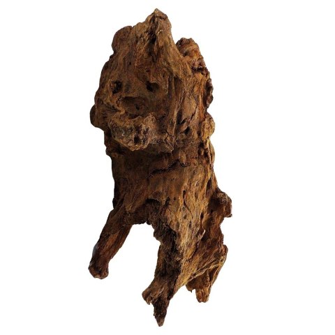 Philippines Classic Driftwood - drzewo mangrowca z wody L 30cm - 40cm