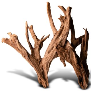 Philippines Classic Driftwood - drzewo mangrowca z wody XL 40cm - 50cm