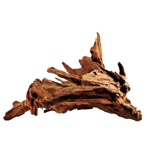 Philippines Classic Driftwood - drzewo mangrowca z wody XL 40cm - 50cm