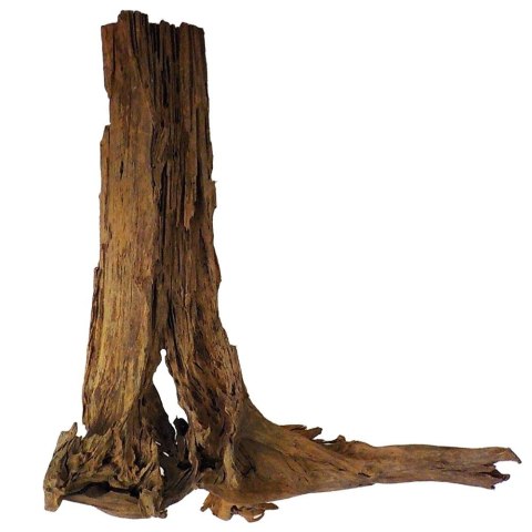 Philippines Classic Driftwood - drzewo mangrowca z wody XXL 70cm - 110cm