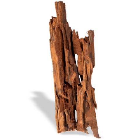 Philippines Classic Driftwood - drzewo mangrowca z wody XXL 70cm - 110cm