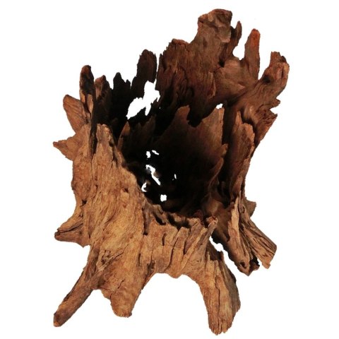 Philippines Classic Driftwood - drzewo mangrowca z wody XXL 70cm - 110cm