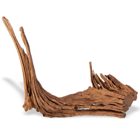 Philippines Classic Driftwood - drzewo mangrowca z wody M 25cm - 30cm