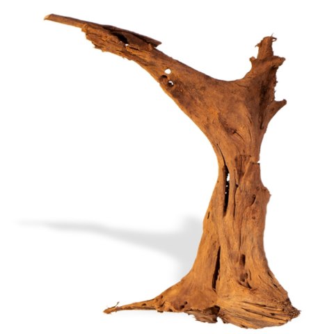 Philippines Classic Driftwood - drzewo mangrowca z wody M 25cm - 30cm