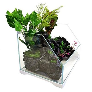 SunSun Aqua Paludarium 30 l - zestaw paludarium