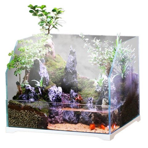 SunSun Aqua Paludarium 30 l - zestaw paludarium