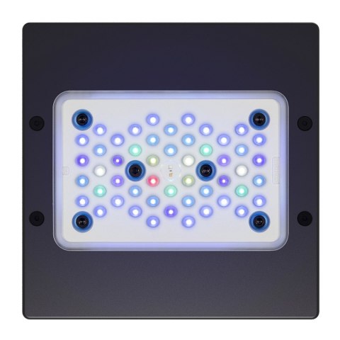 Ecotech Radion XR15 G6 Blue Led Light - oświetlenie LED do akwarium morskiego