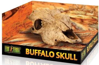 EXO TERRA Buffalo Skull (czaszka bawoła)