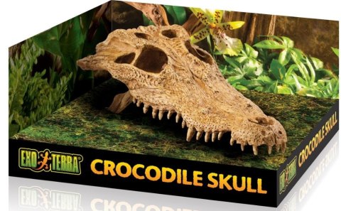 EXO TERRA Crocodile Skull (czaszka krokodyla)