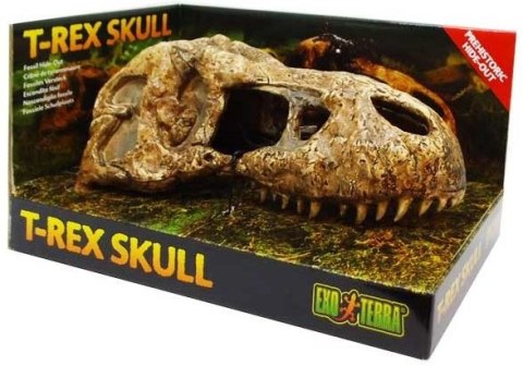 EXO TERRA T-Rex skull (czaszka dinozaura)