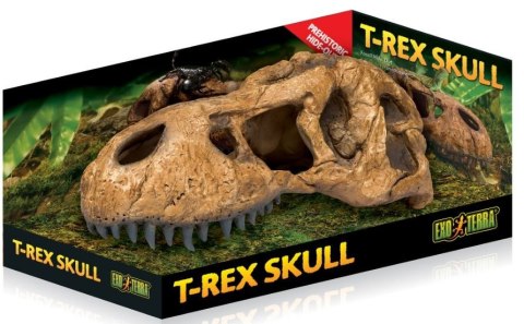 EXO TERRA T-Rex skull (czaszka dinozaura)