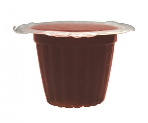 Komodo Jelly Pot Brown Sugar- brązowy cukier w żelu 60szt.