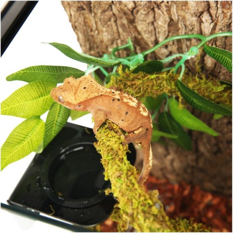 Repti-Zoo Liana z naturalnym mchem 1,5cm x 2m