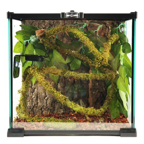 Repti-Zoo Liana z naturalnym mchem 1cm x 2m