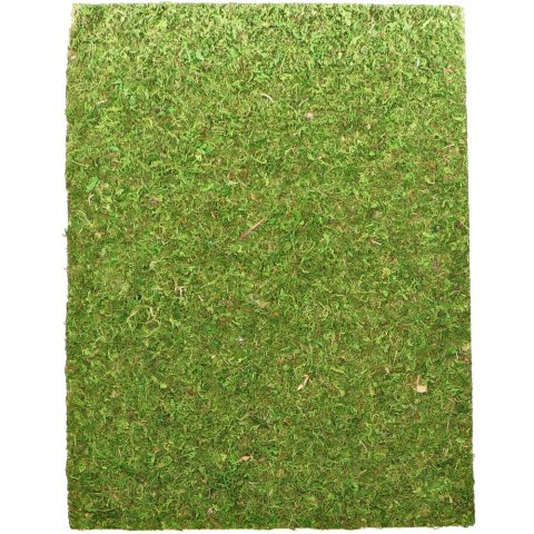 Repti-Zoo Natural Moss Back&Bottom - tło i podłoże z mchu 20x30cm