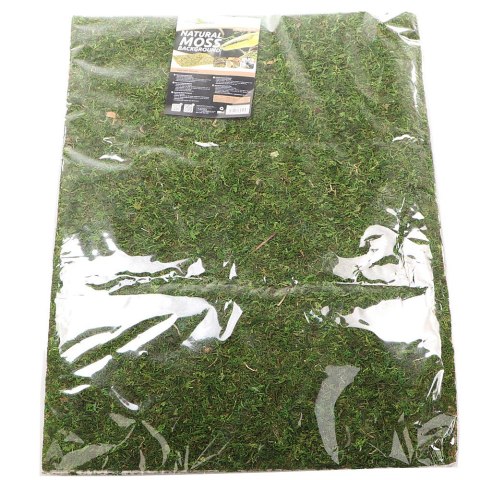 Repti-Zoo Natural Moss Back&Bottom - tło i podłoże z mchu 20x30cm