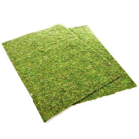 Repti-Zoo Natural Moss Back&Bottom - tło i podłoże z mchu 50x25cm