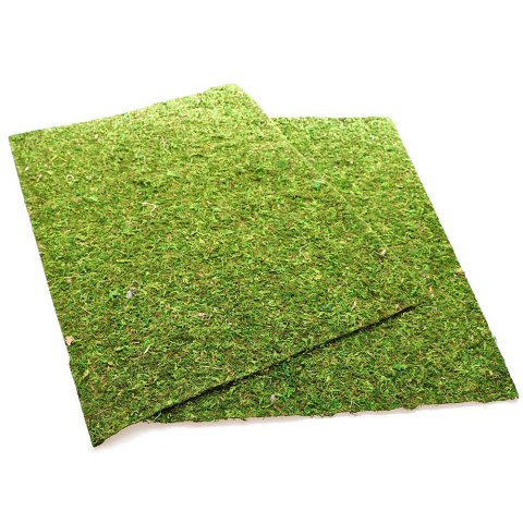 Repti-Zoo Natural Moss Back&Bottom - tło i podłoże z mchu 50x25cm