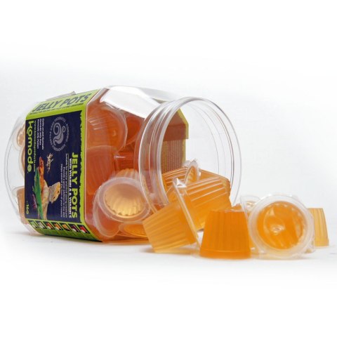 Komodo Jelly Pot Honey - pokarm miód w żelu