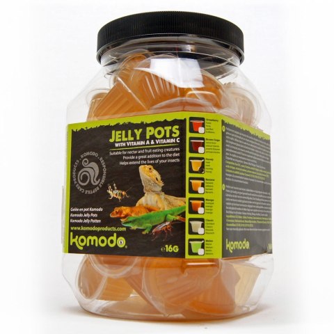 Komodo Jelly Pot Honey - pokarm miód w żelu