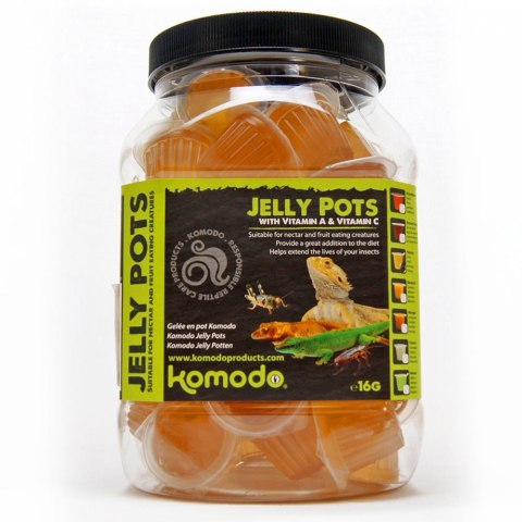 Komodo Jelly Pot Honey - pokarm miód w żelu